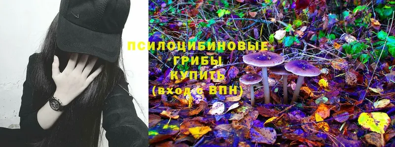 Галлюциногенные грибы Magic Shrooms  Ялуторовск 